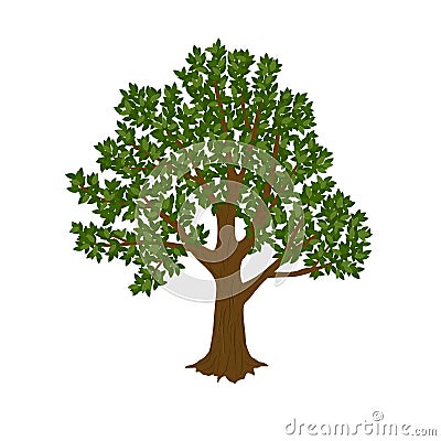 Green tree isolated on white background. Cartoon Illustration